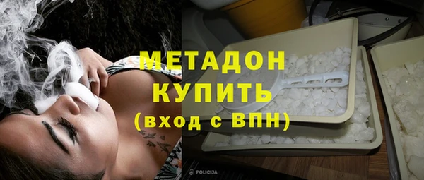 прущие грибы Абинск