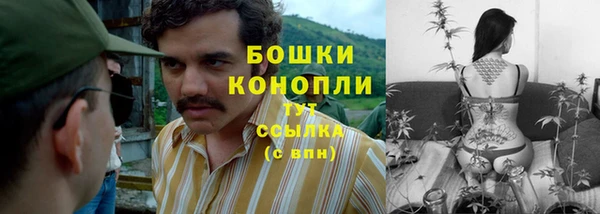 прущие грибы Абинск