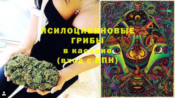 винт Абаза