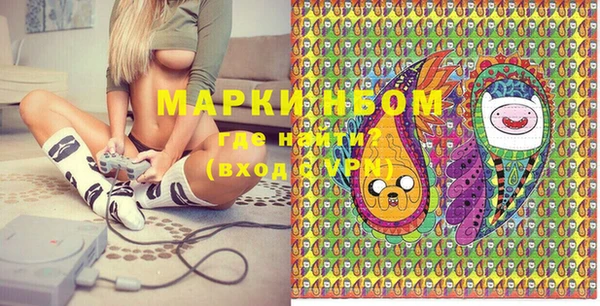 прущие грибы Абинск