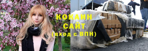 винт Абаза