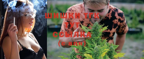 винт Абаза