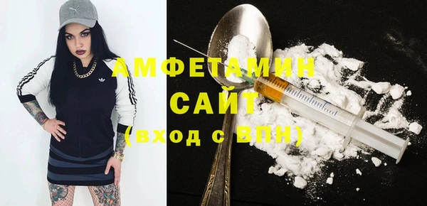 винт Абаза