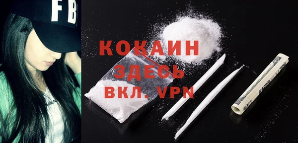 винт Абаза