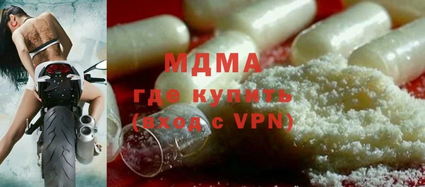 прущие грибы Абинск