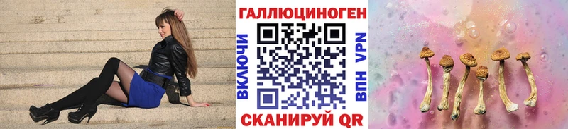 блэк спрут ТОР  Комсомольск-на-Амуре  Псилоцибиновые грибы мухоморы 